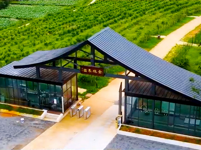 金桥乡葡萄产业宣传片